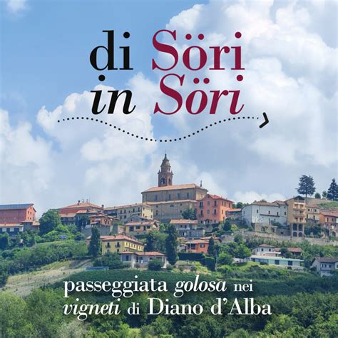sori myvidster|Sori.